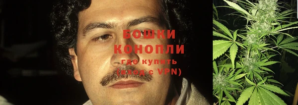 спиды Краснослободск