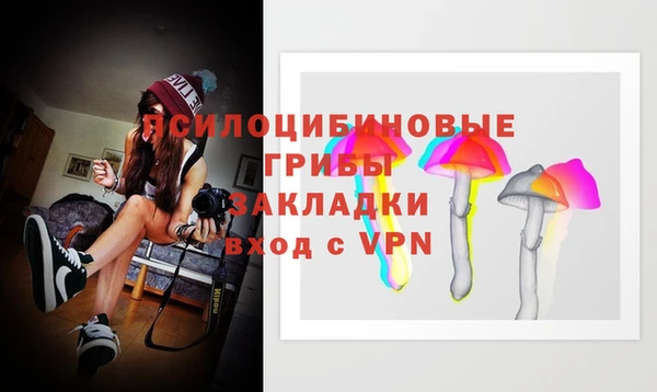 спиды Краснослободск