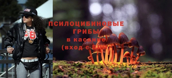 альфа пвп Краснотурьинск